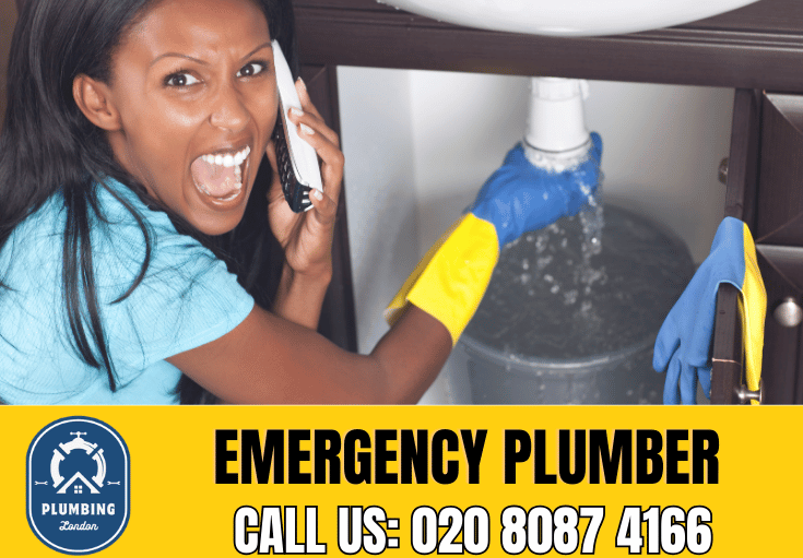 emergency plumber Wimbledon 