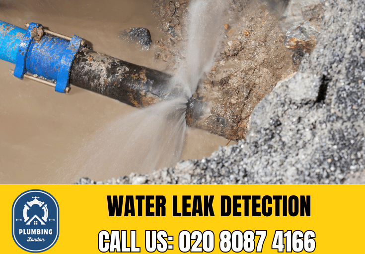 leak detection Wimbledon 