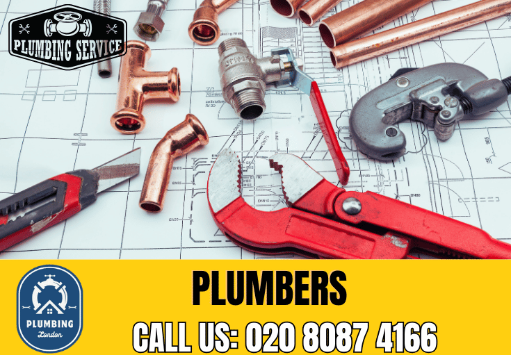  plumber Raynes Park