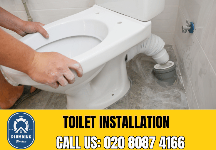 toilet fitters Wimbledon 